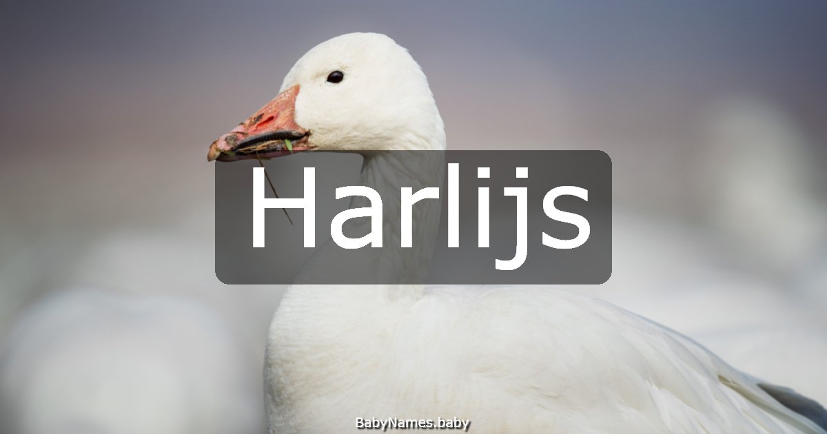 Harlijs