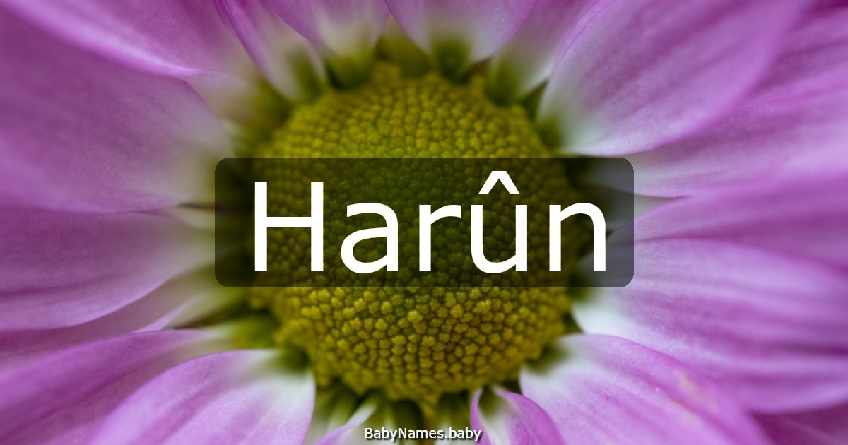 Harûn