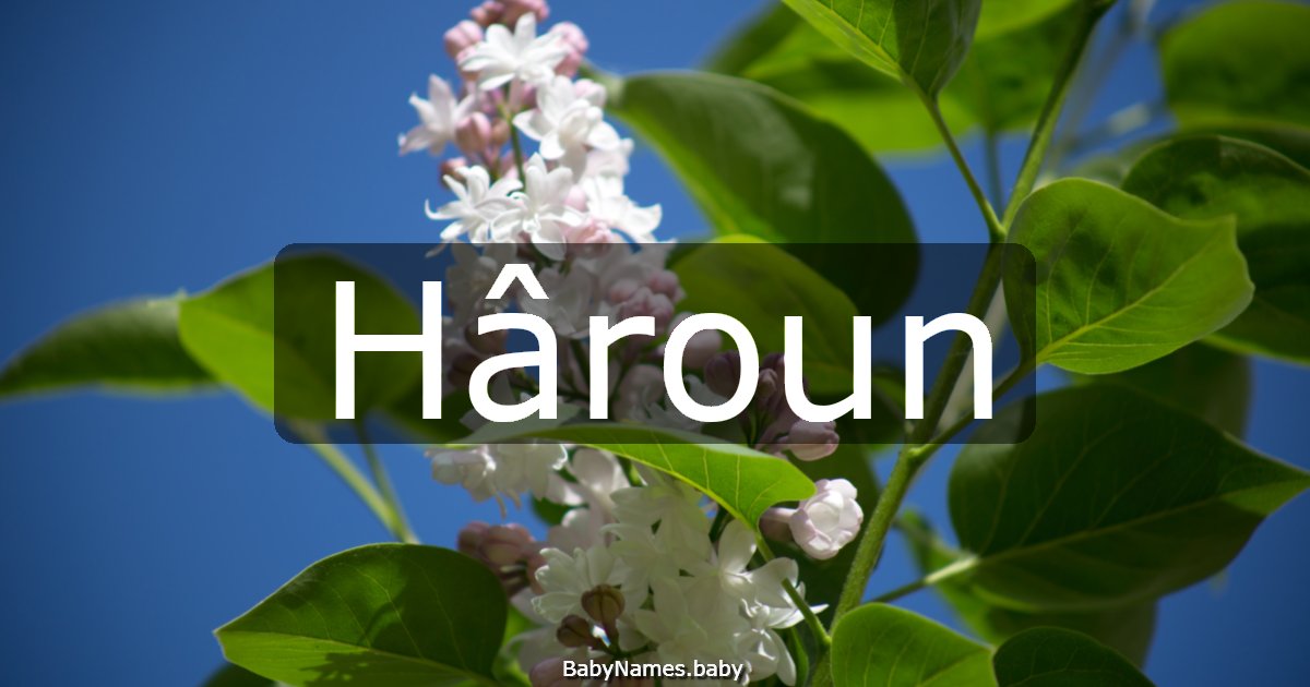 Hâroun