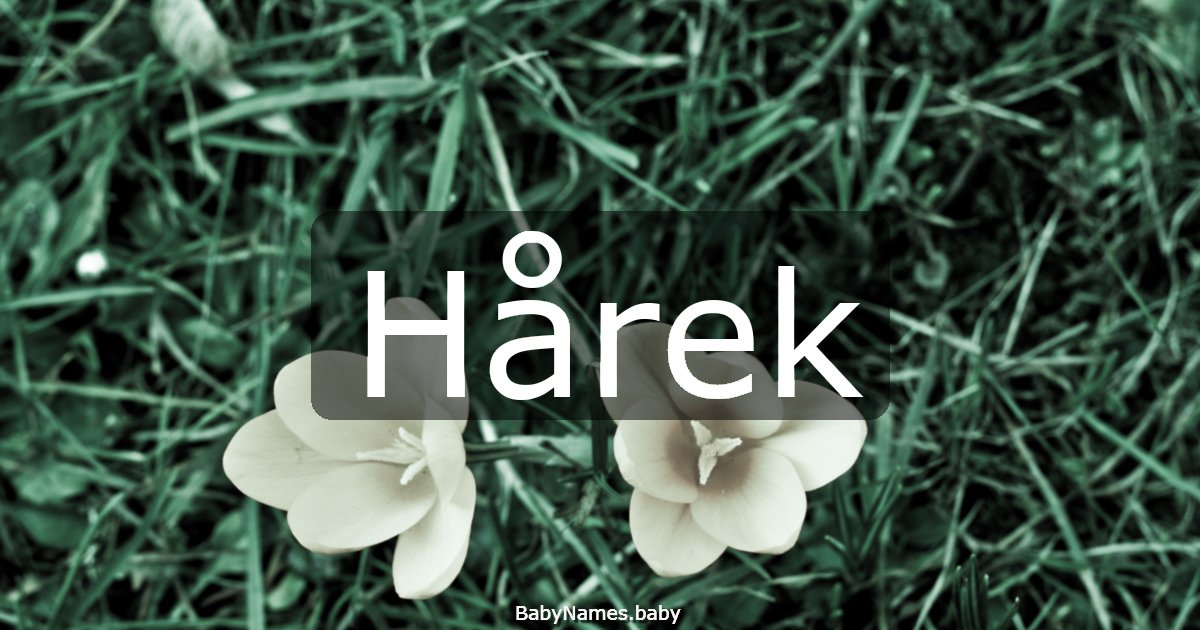 Hårek