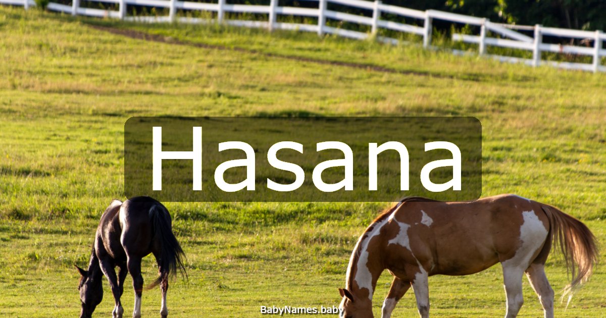 Hasana