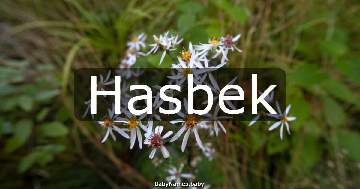 Hasbek