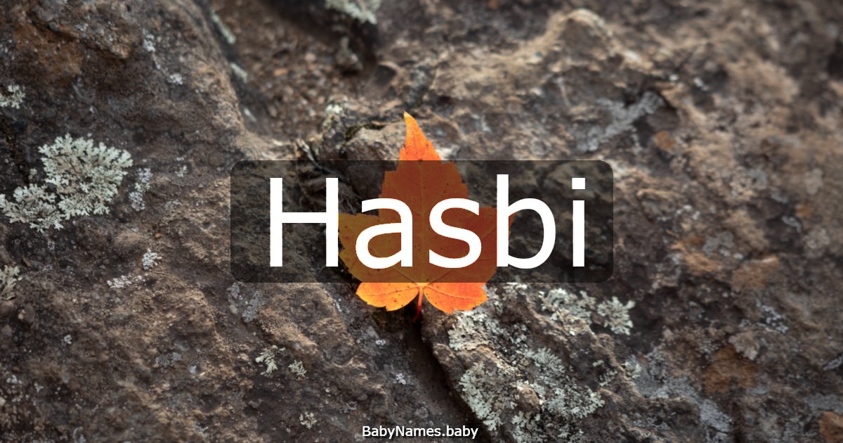 Hasbi