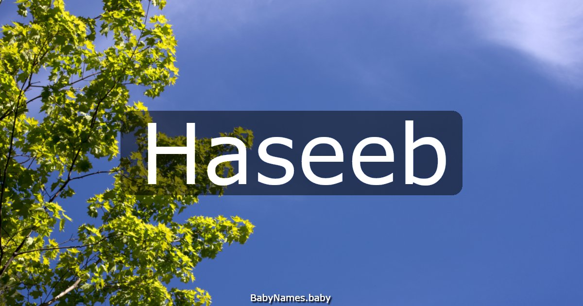 Haseeb