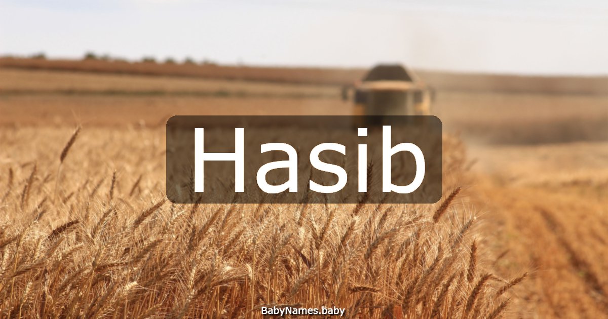 Hasib