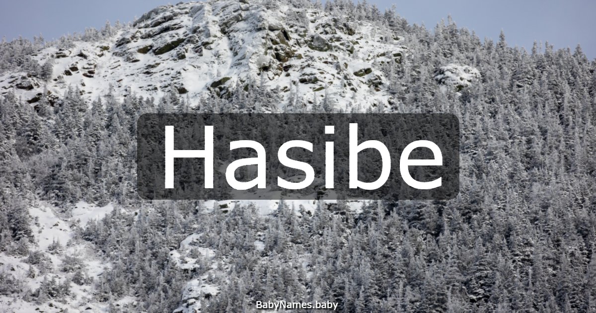 Hasibe