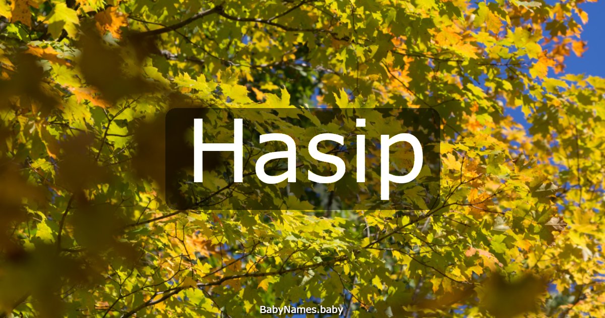 Hasip