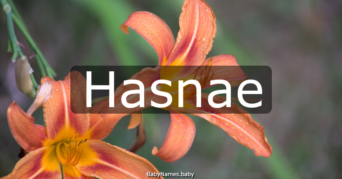 Hasnae
