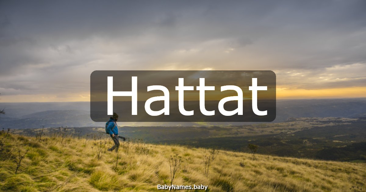 Hattat