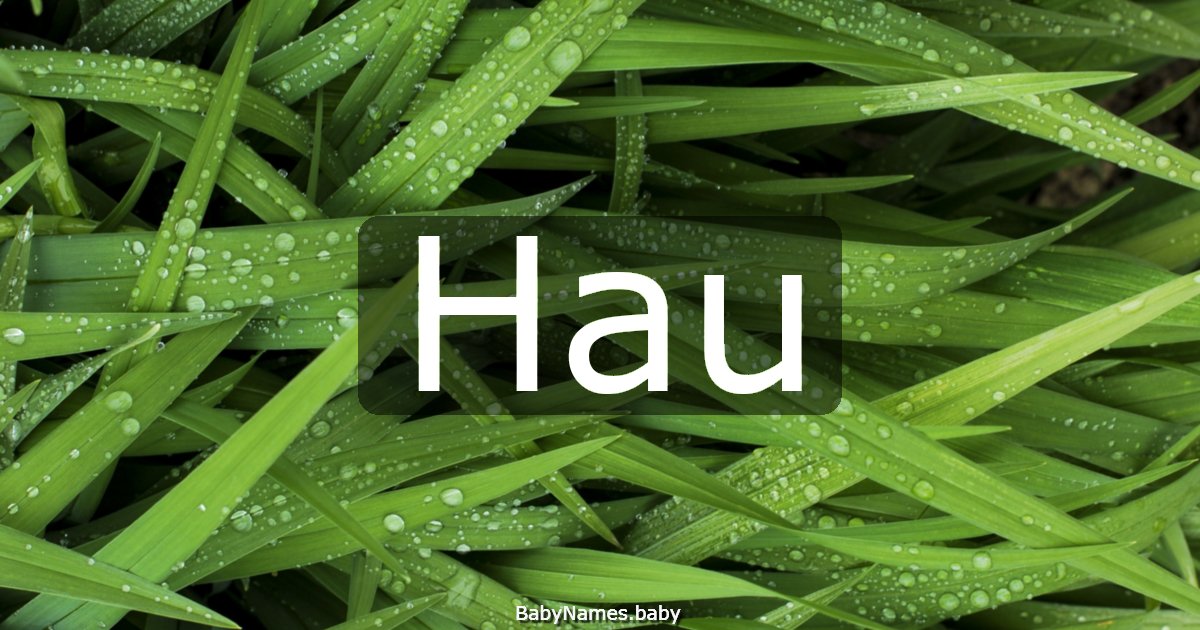 Hau