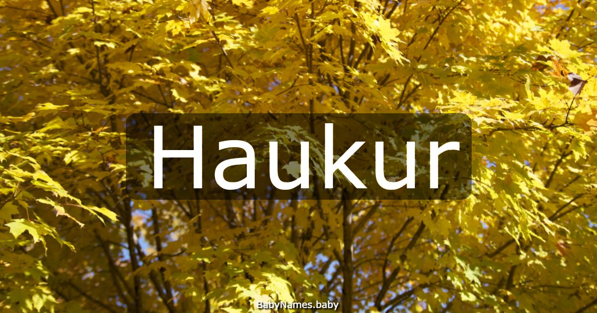 Haukur