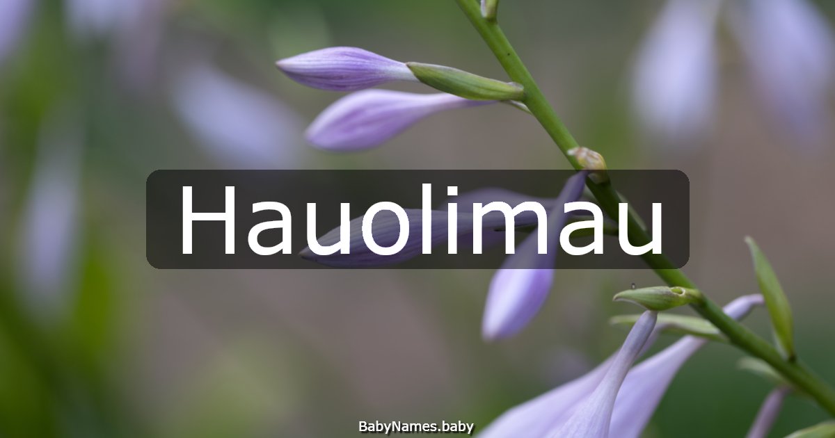 Hauolimau