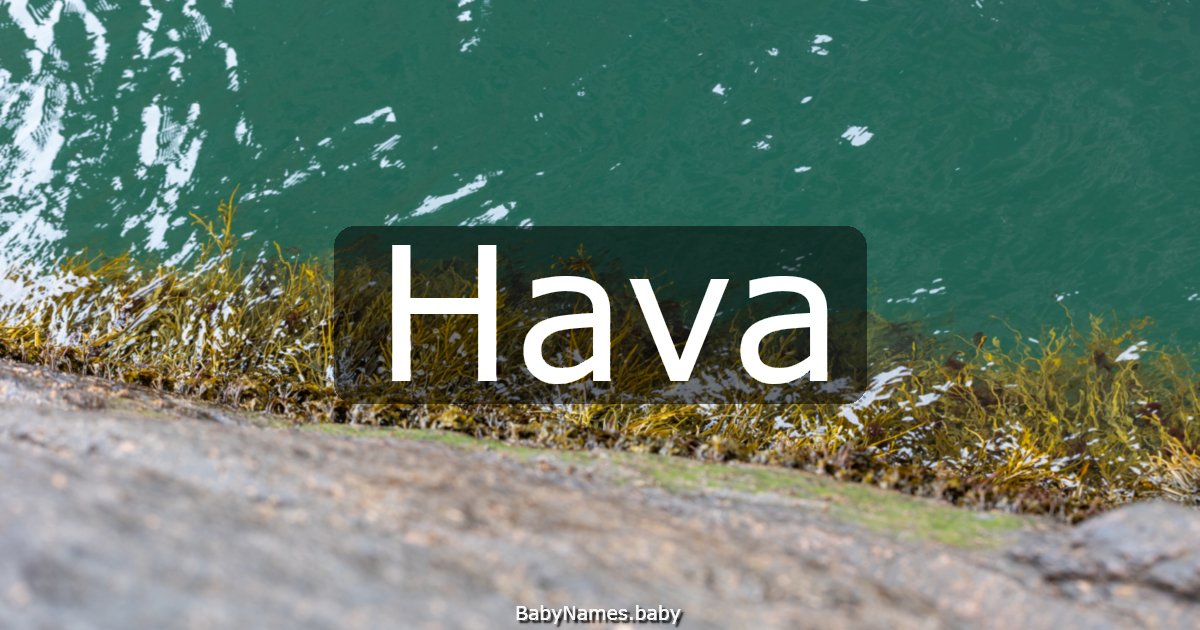 Hava
