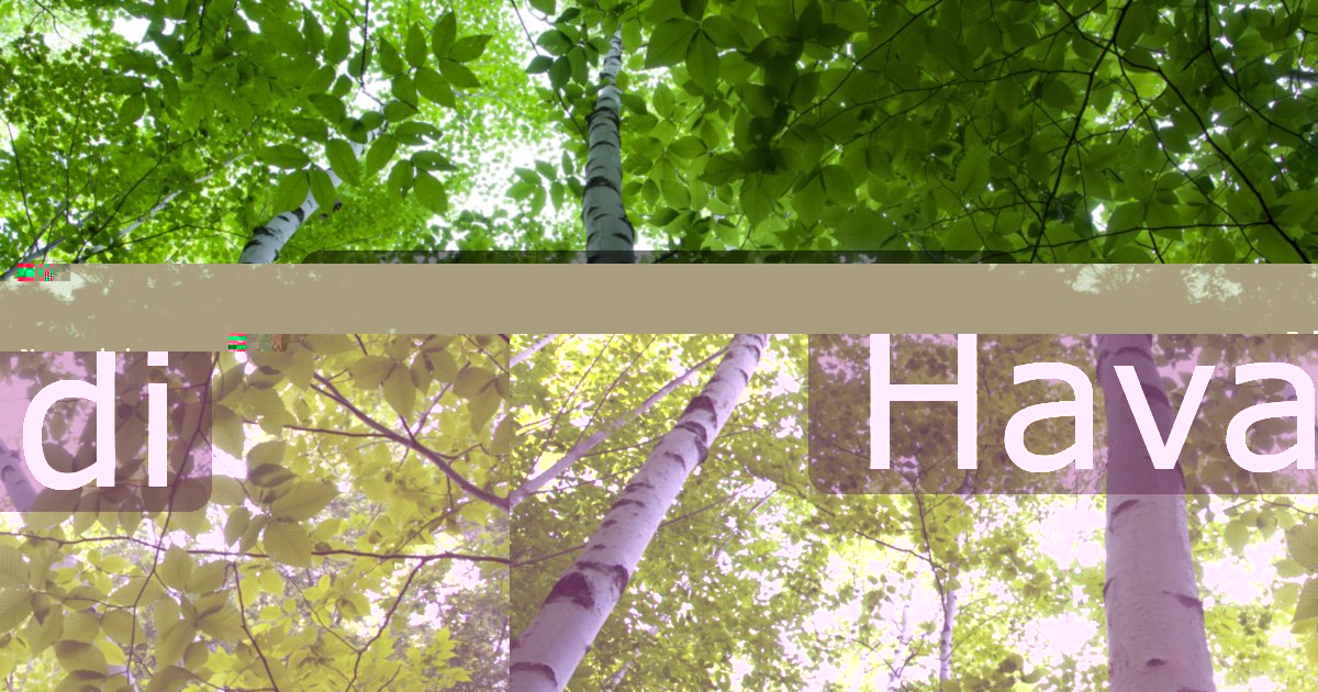 Havadi