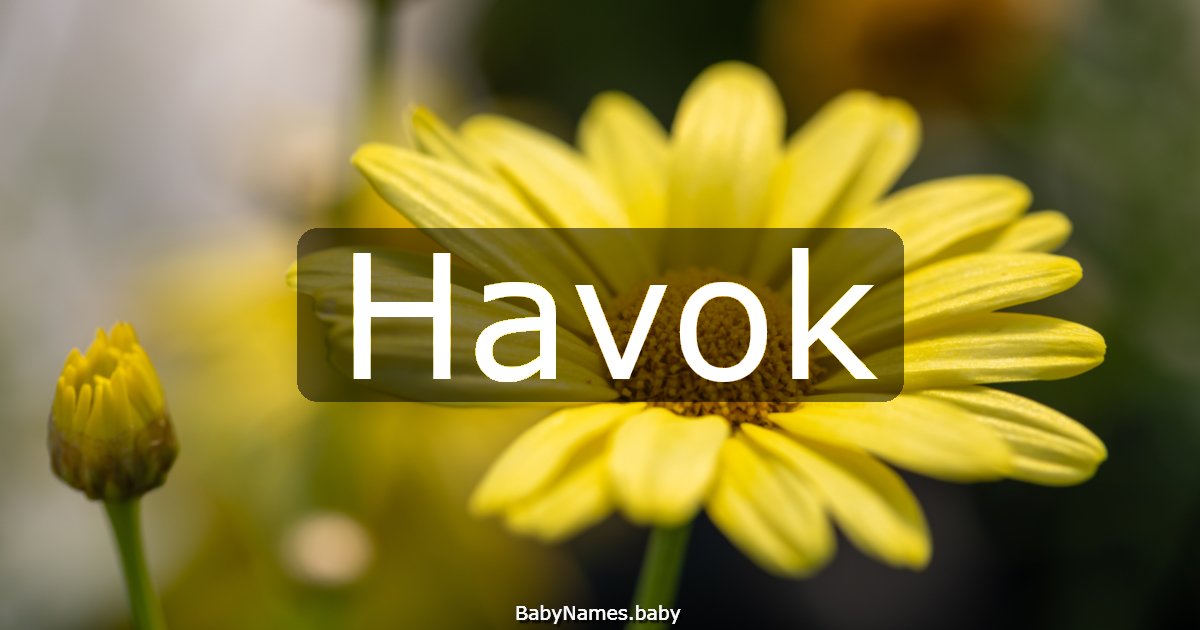 Havok
