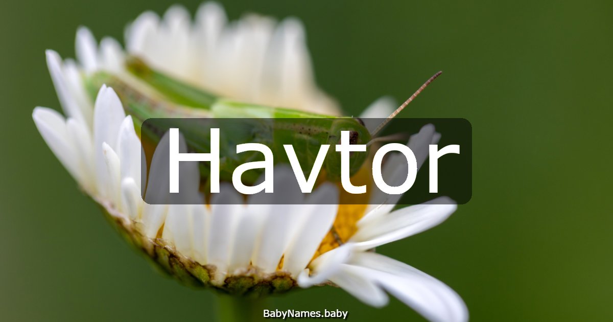 Havtor