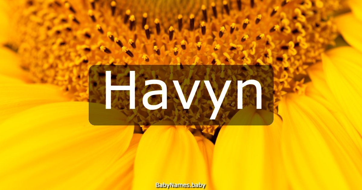 Havyn
