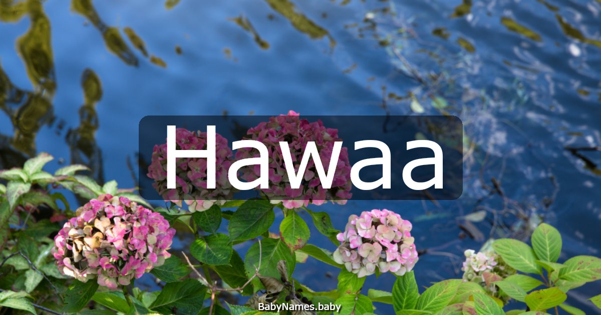 Hawaa