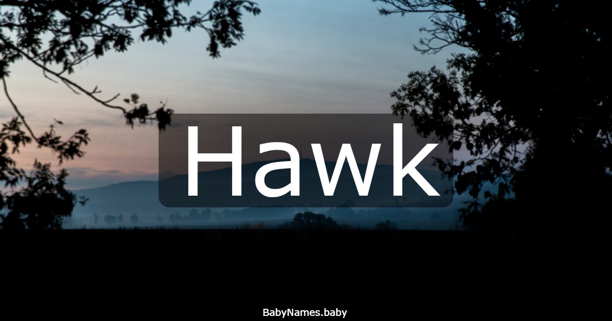 Hawk