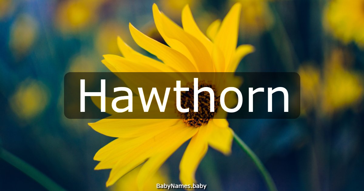 Hawthorn