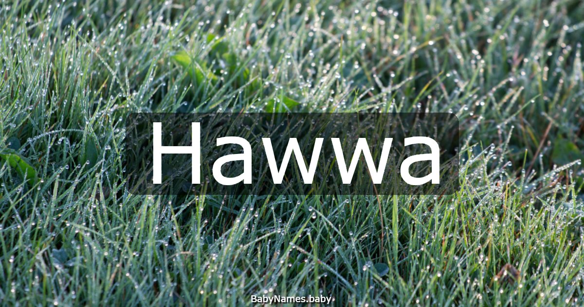 Hawwa