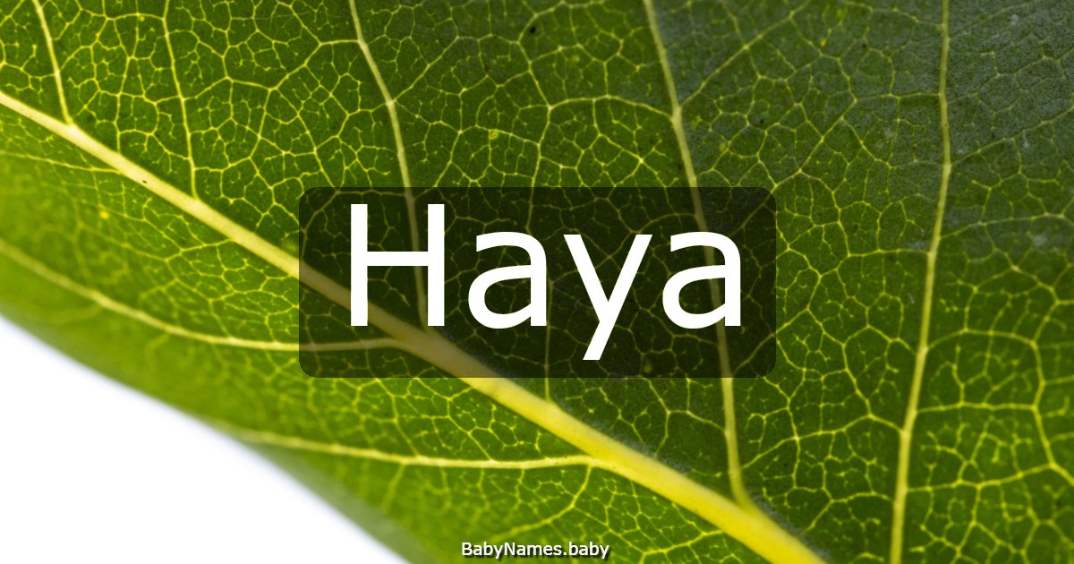 Haya