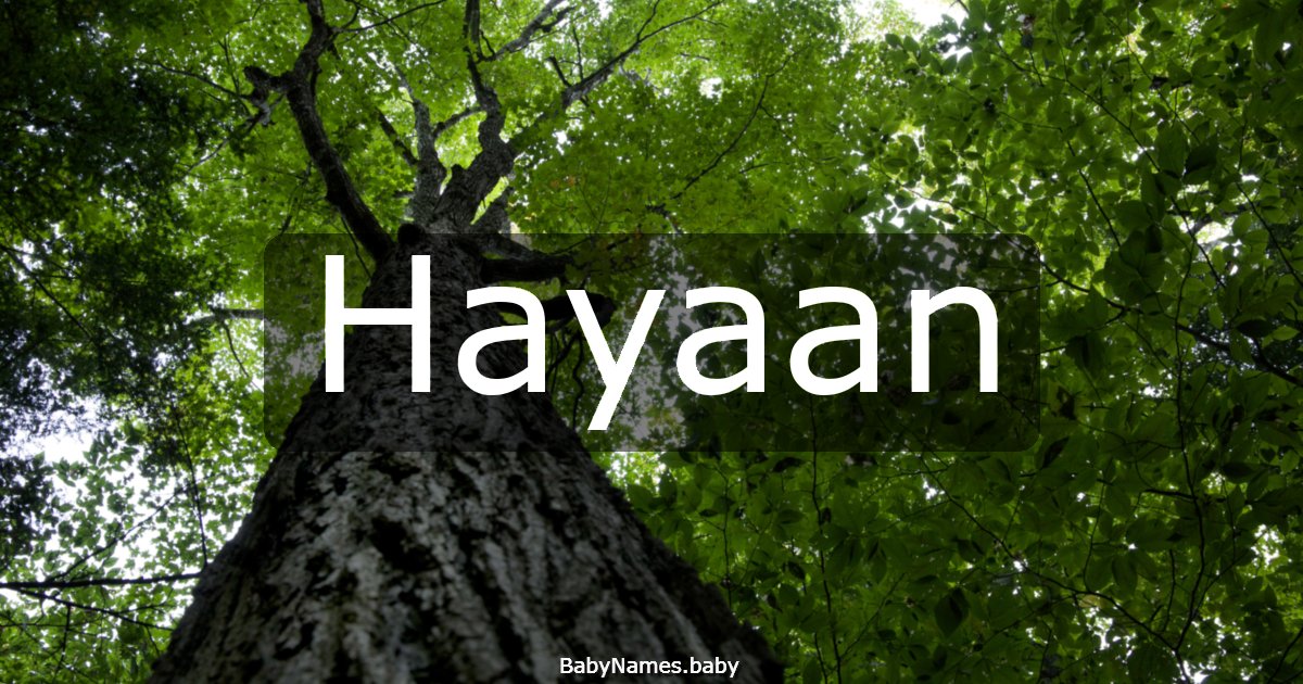 Hayaan