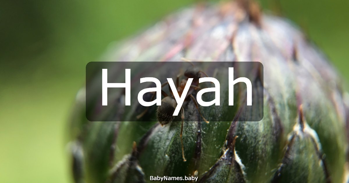 Hayah