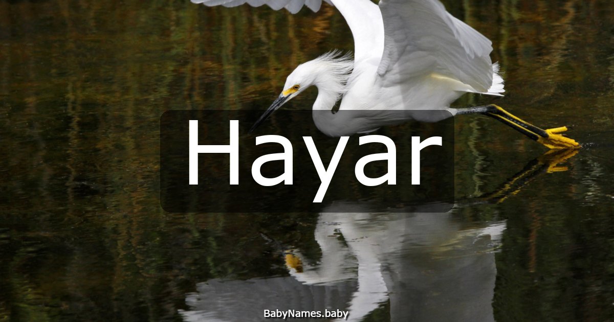 Hayar