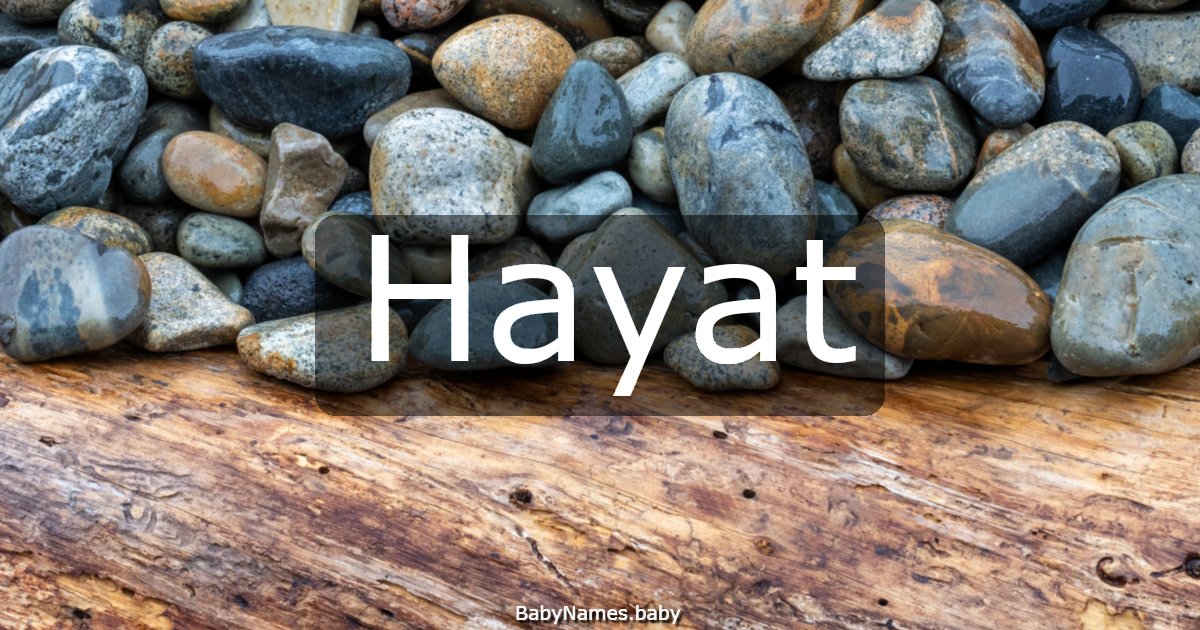 Hayat