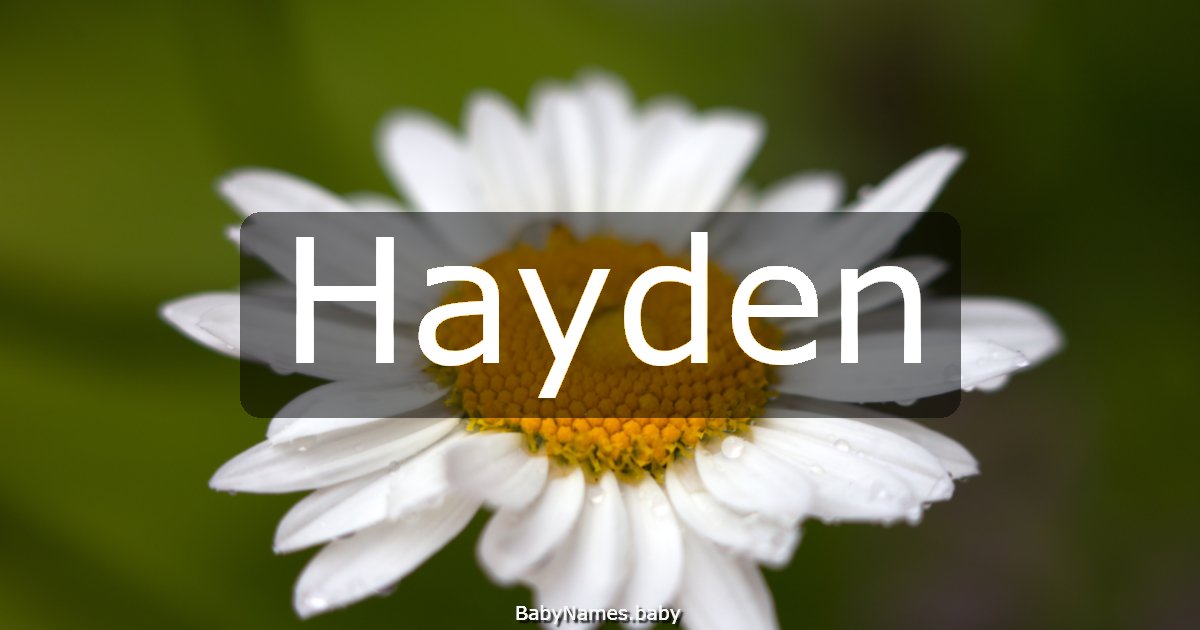 Hayden
