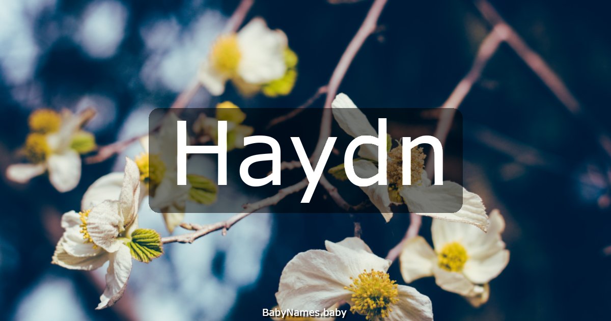 Haydn