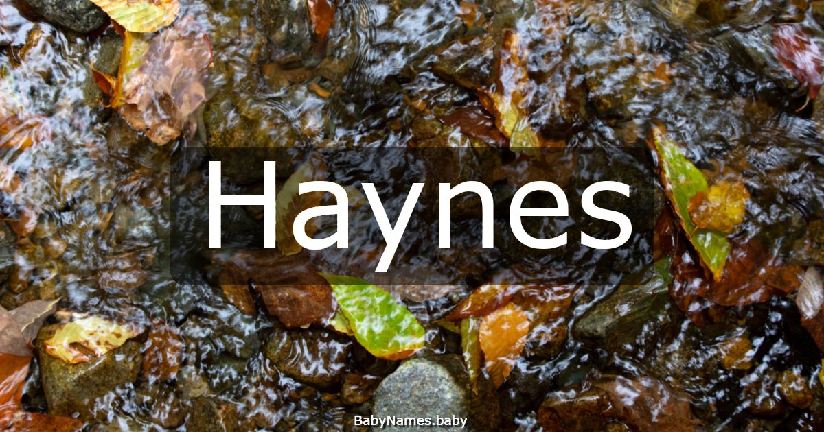 Haynes
