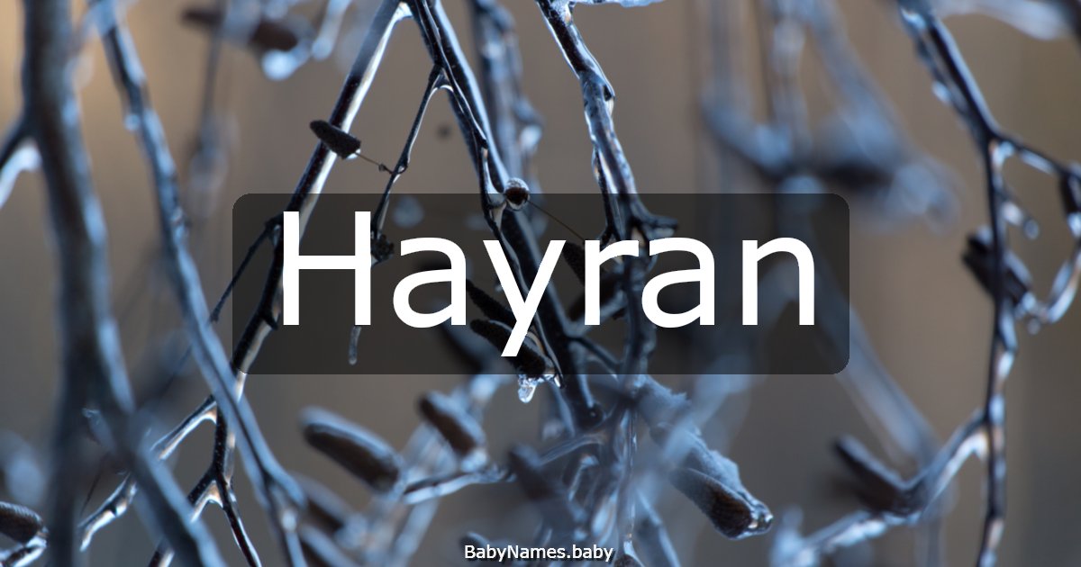 Hayran