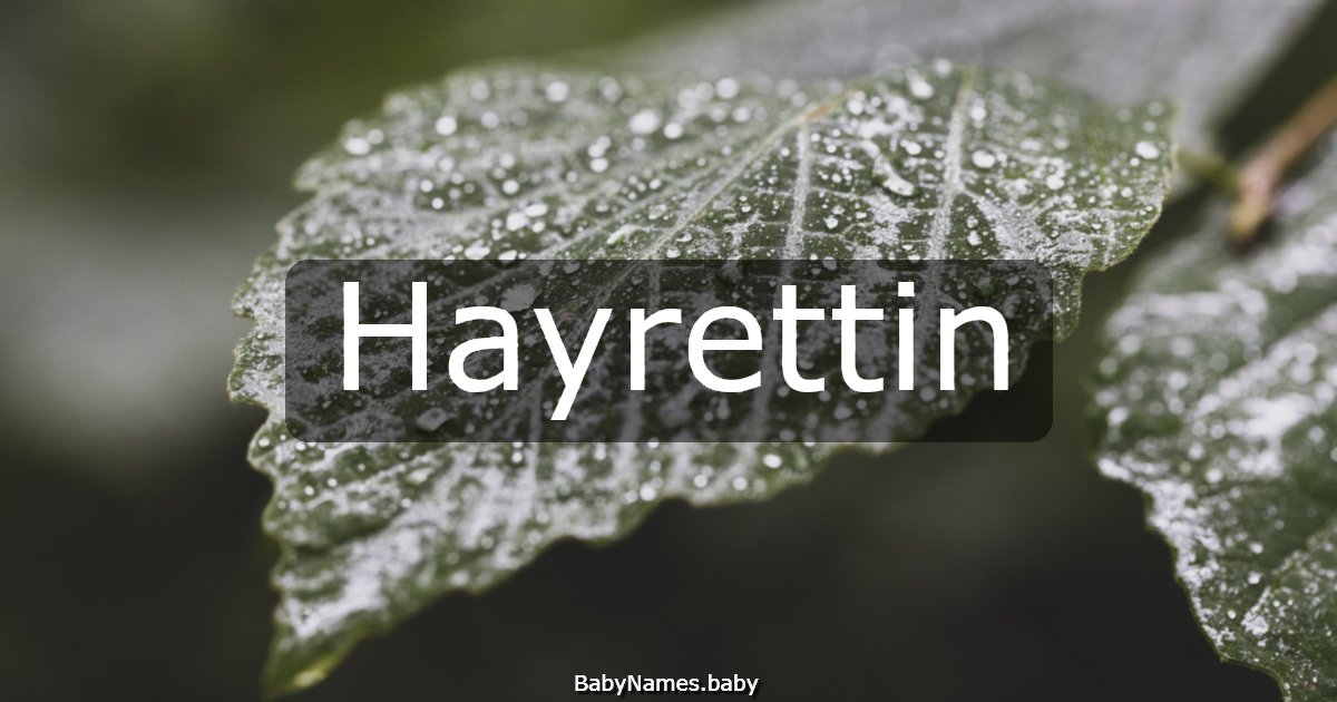 Hayrettin