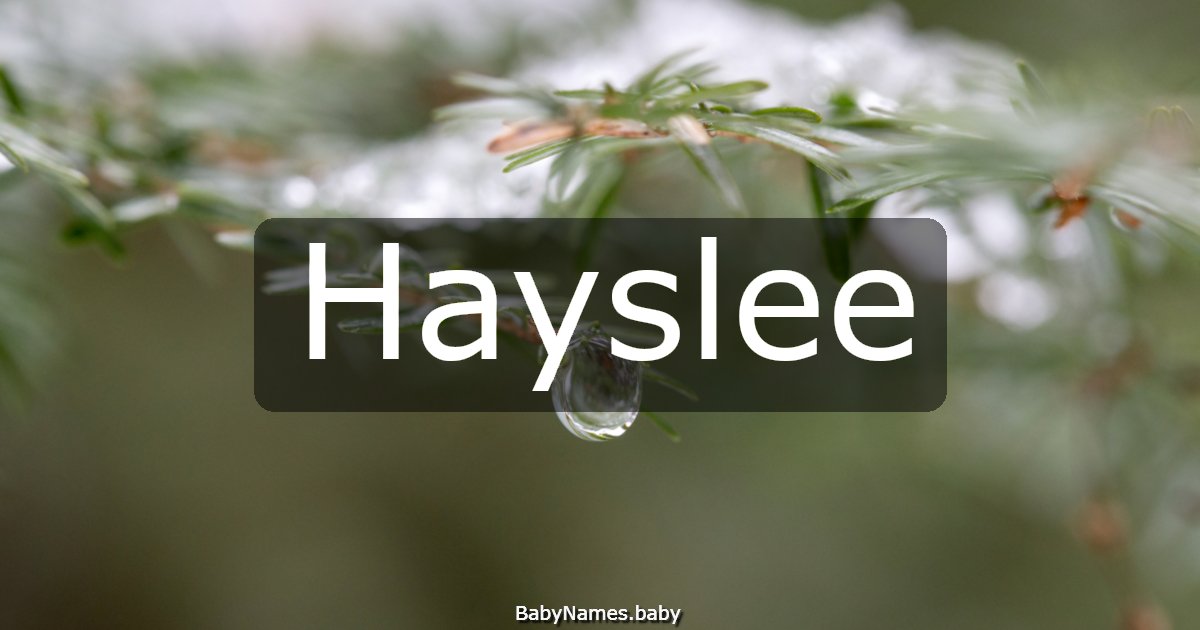 Hayslee