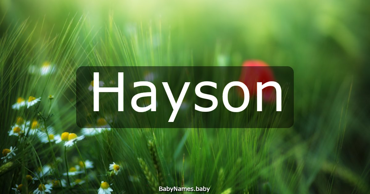 Hayson