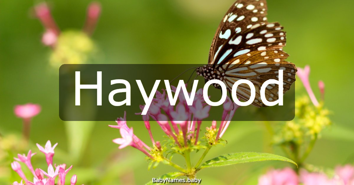 Haywood