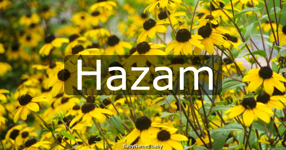 Hazam