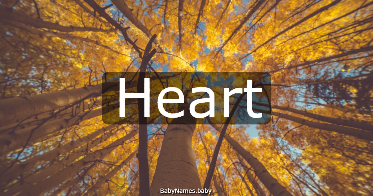 Heart