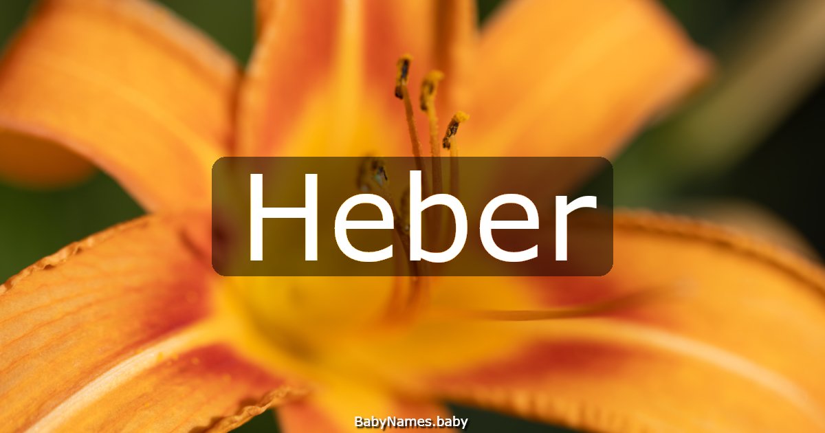 Heber