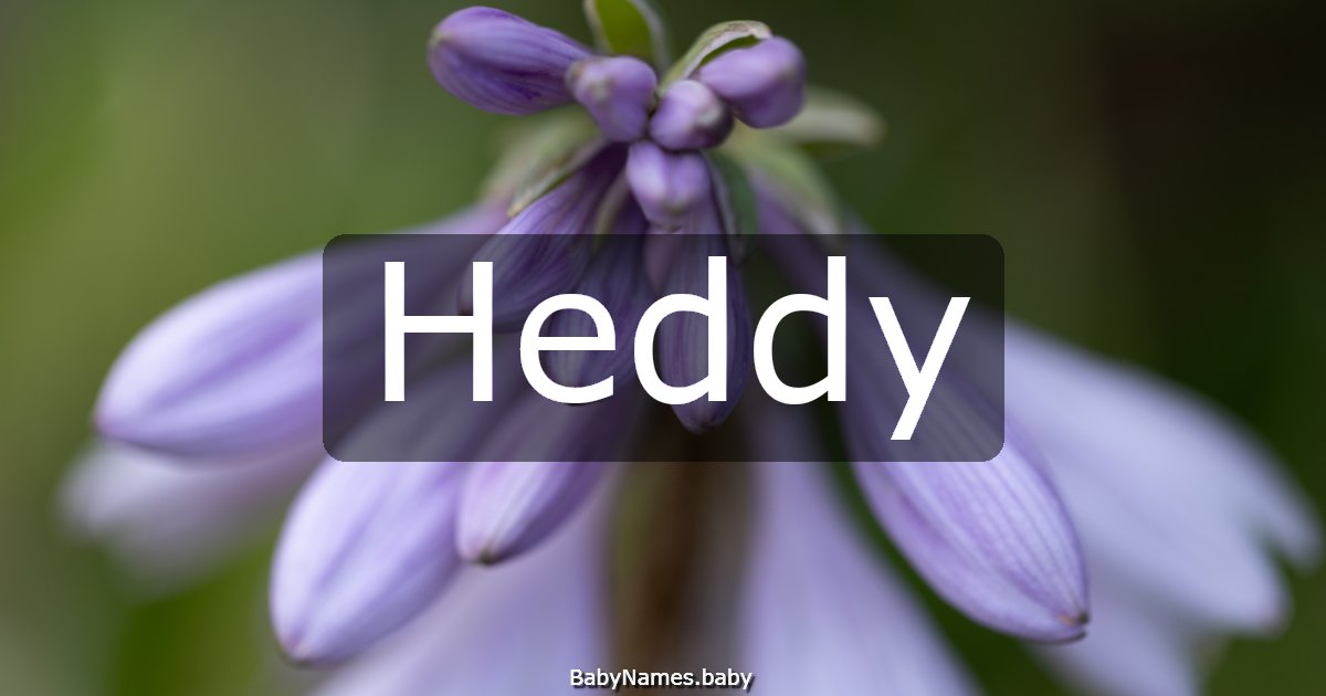 Heddy