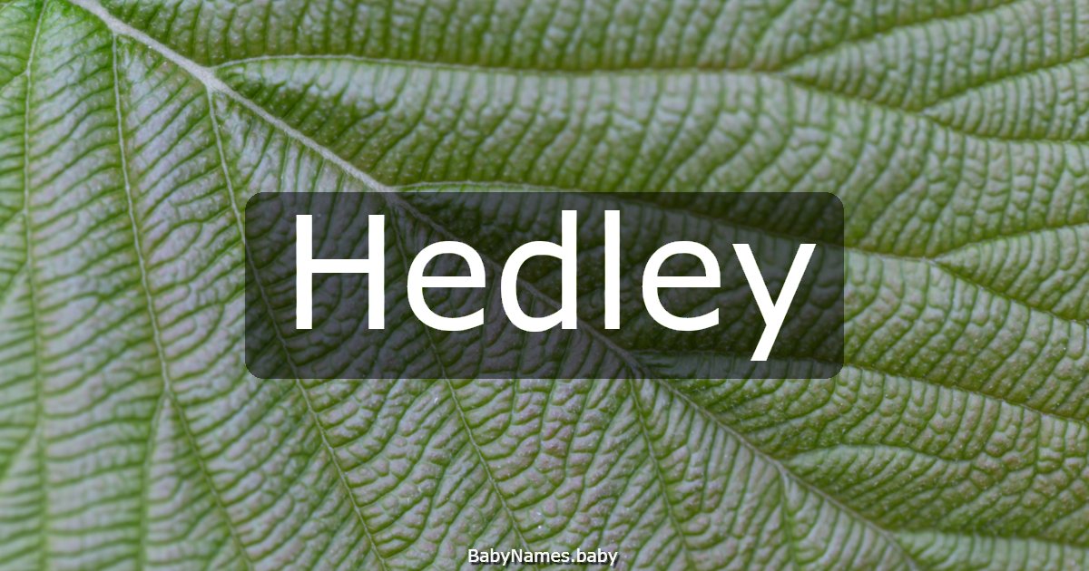 Hedley