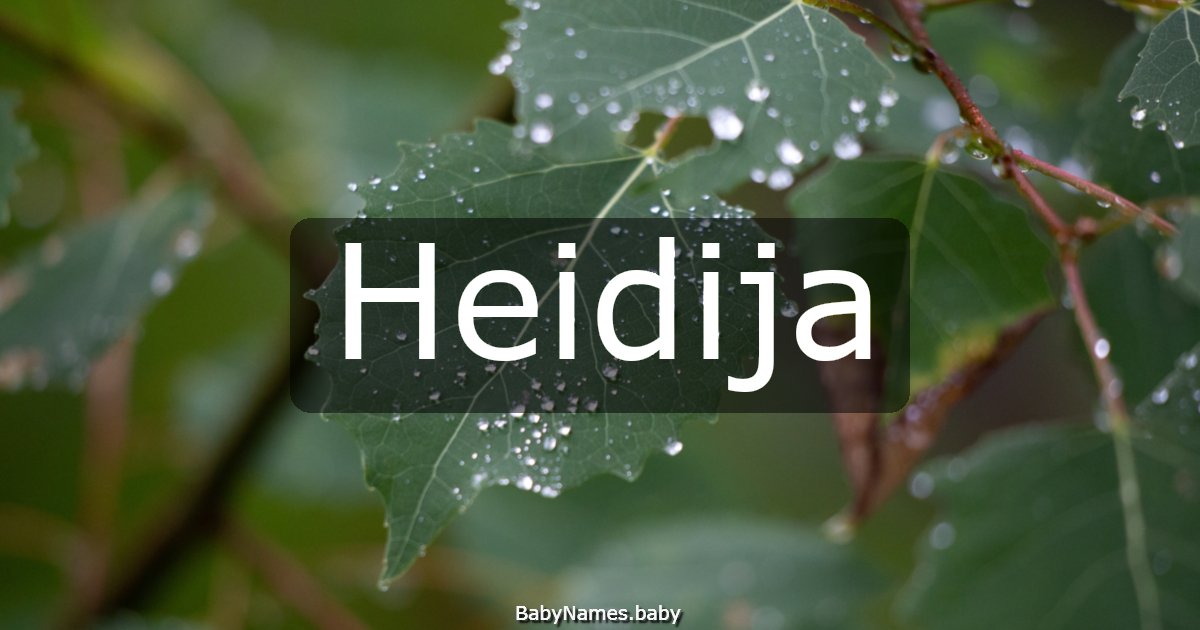 Heidija