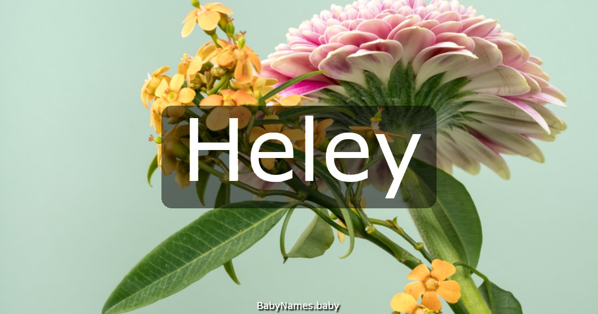 Heley