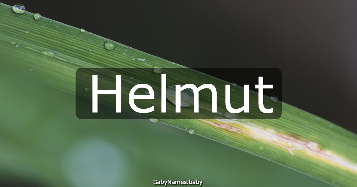 Helmut