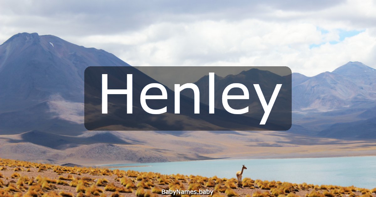 Henley