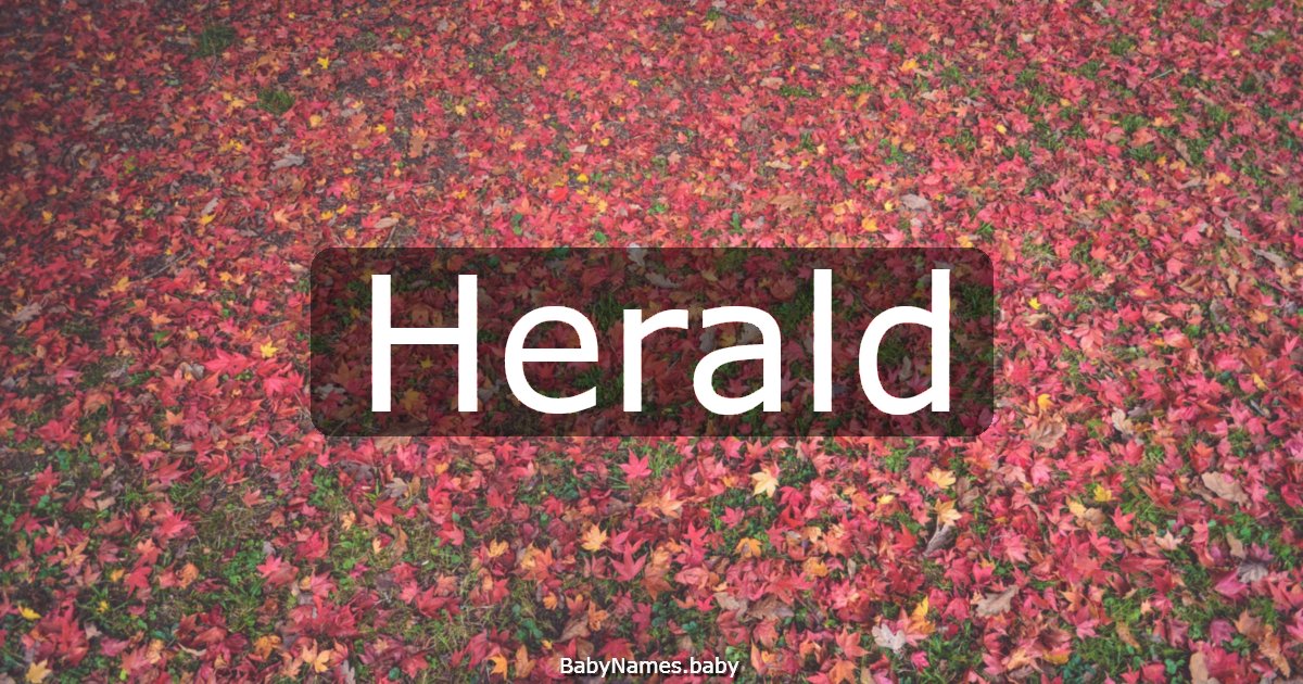 Herald