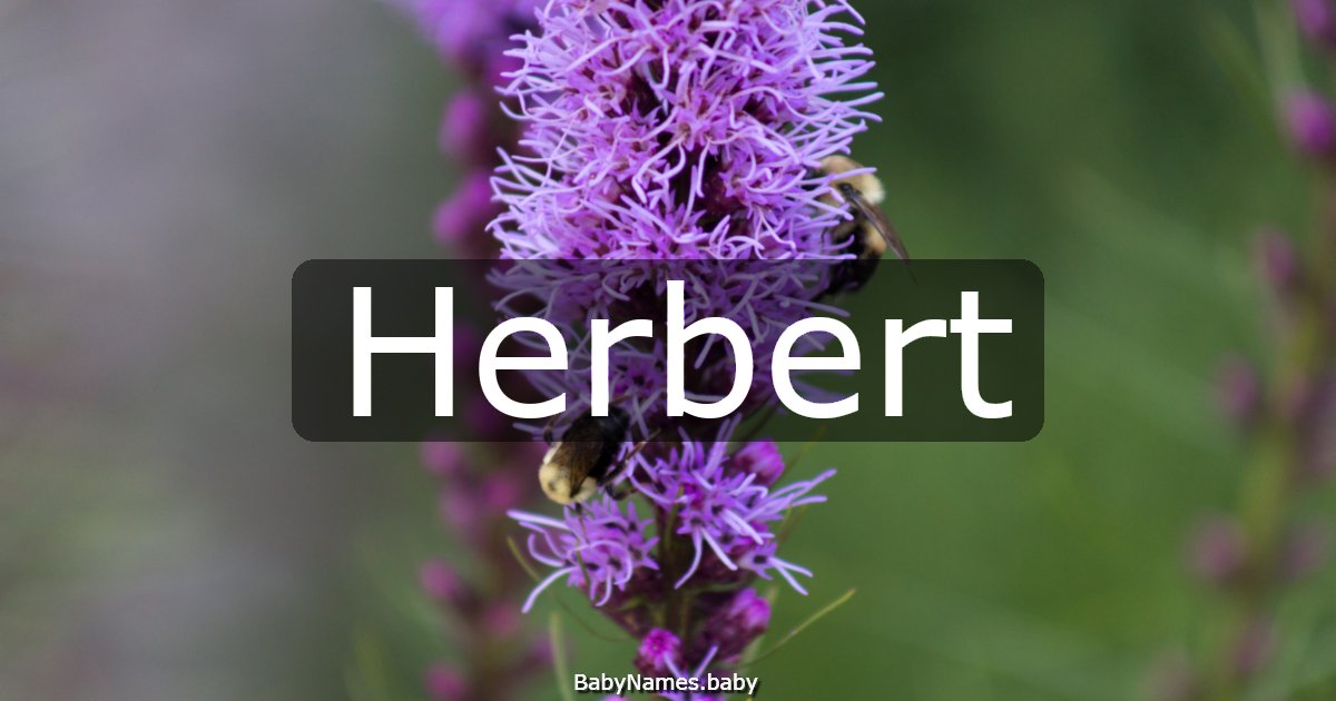 Herbert