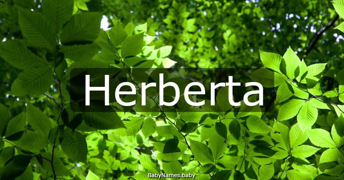 Herberta